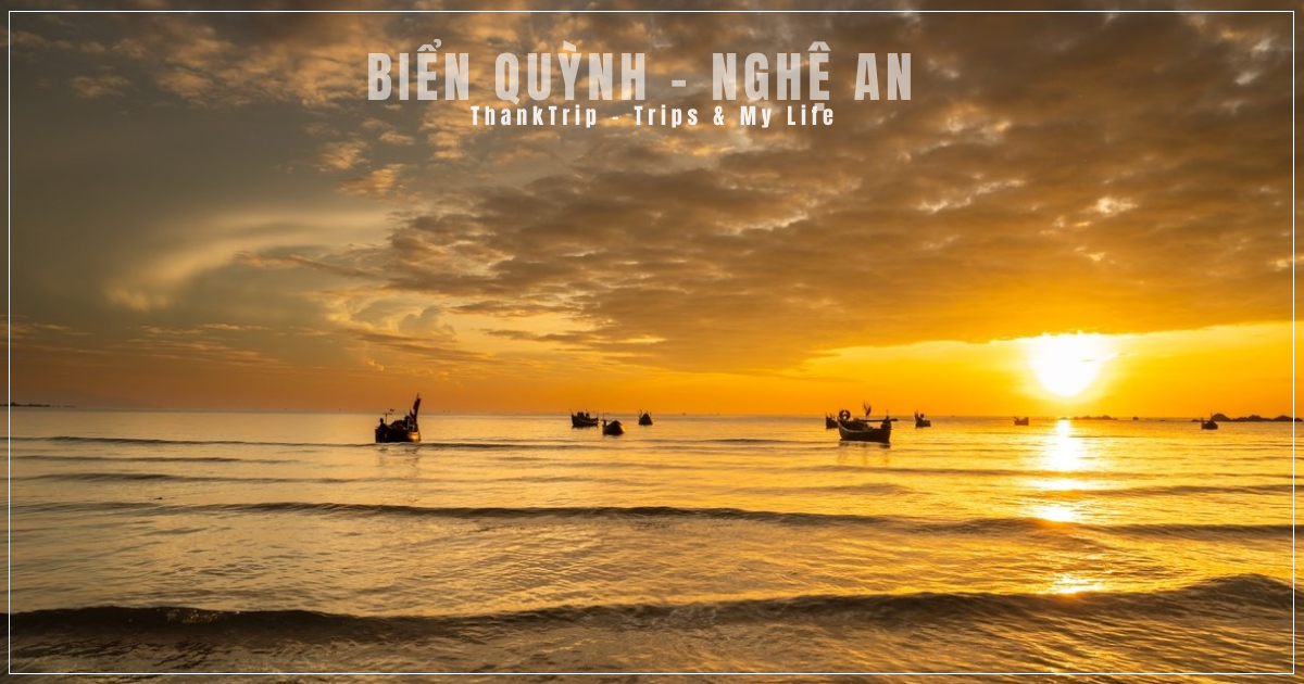 anh-bia-bien-quynh-nghe-an
