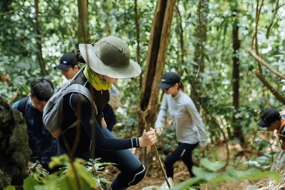 Trekking xuyên rừng nguyên sinh là trải nghiệm nổi bật khi khám phá Thung Lũng Sinh Tồn Quảng Bình, mang đến cơ hội hòa mình vào thiên nhiên hoang dã