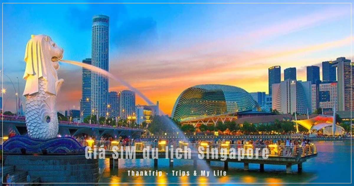 Giá SIM Du Lịch Singapore Bao Nhiêu? Cập Nhật Mới Nhất & Kinh Nghiệm Chọn Gói Phù Hợp