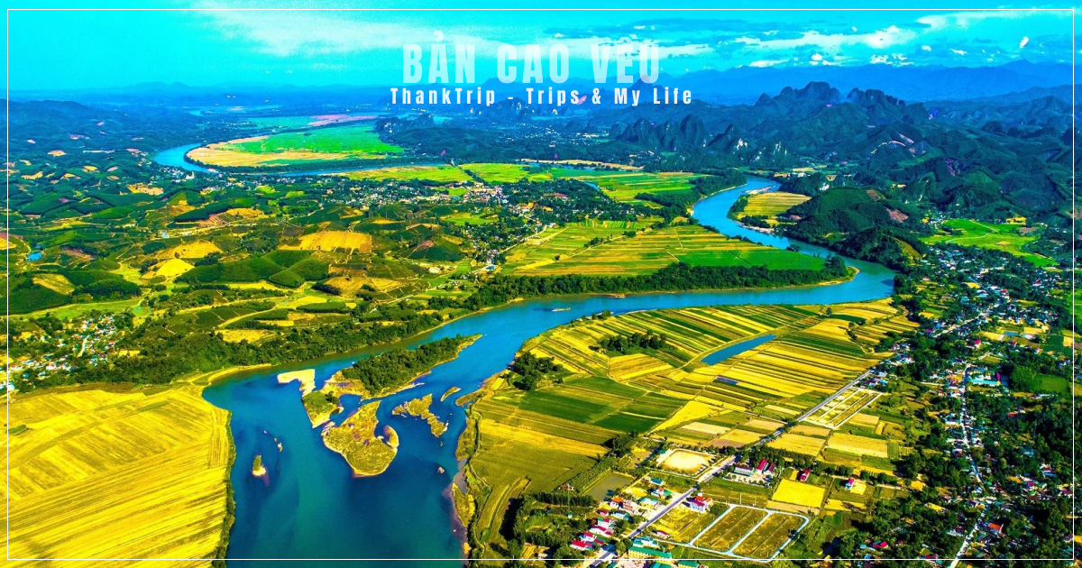 anh-bia-ban-cao-veu-anh-son-nghe-an
