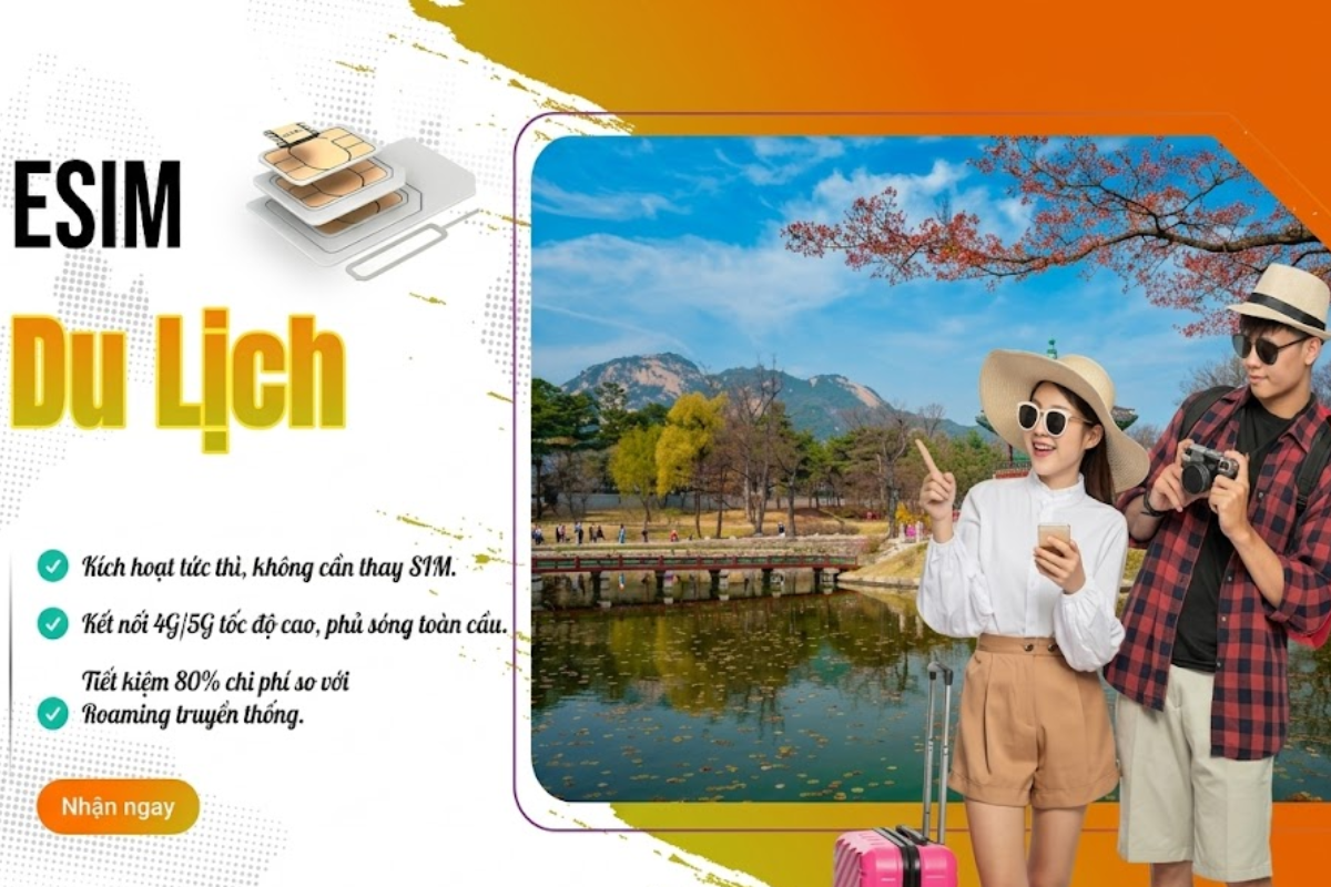 ThankTrip - Nền Tảng Uy Tín Cho Hành Trình Trọn Vẹn