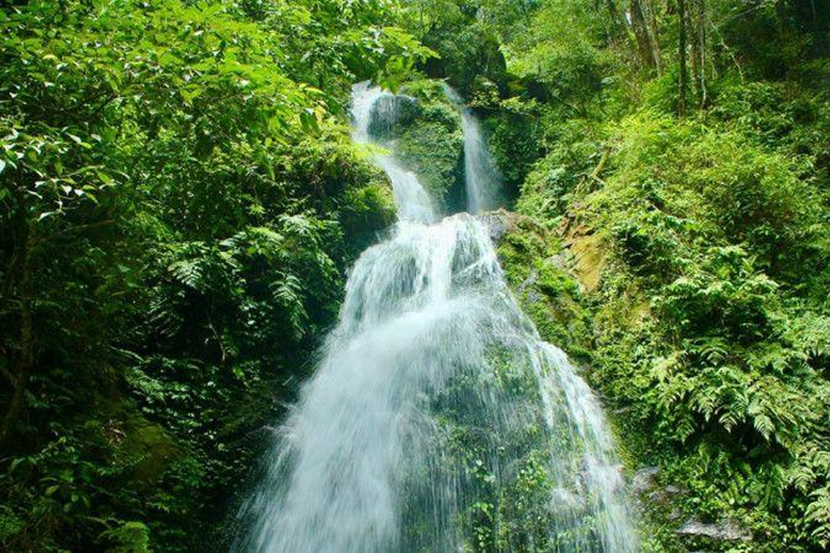 Tham quan vườn quốc gia Vũ Quang Hà Tĩnh cho người yêu thiên nhiên