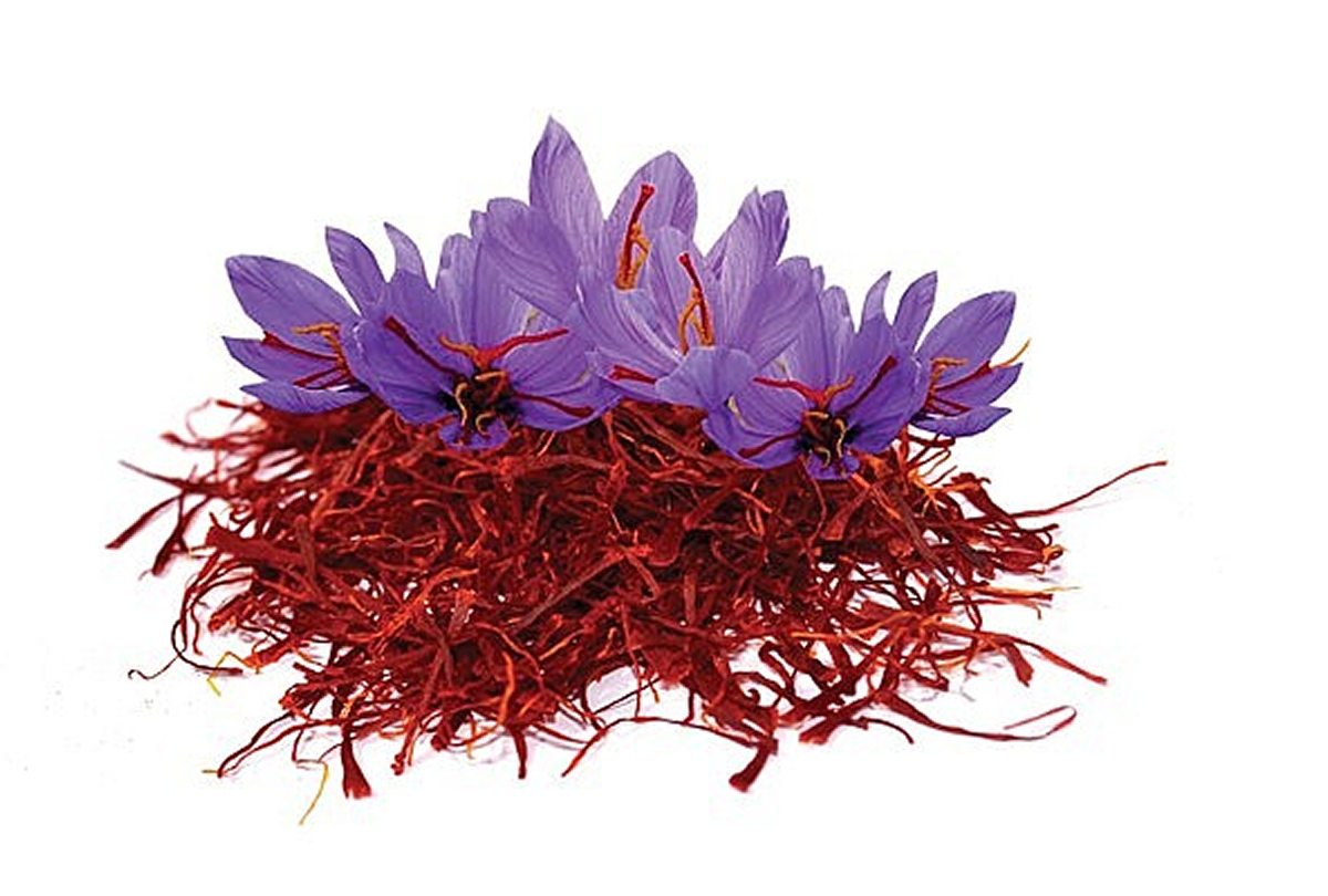 Saffron – Nhụy hoa Nghệ Tây