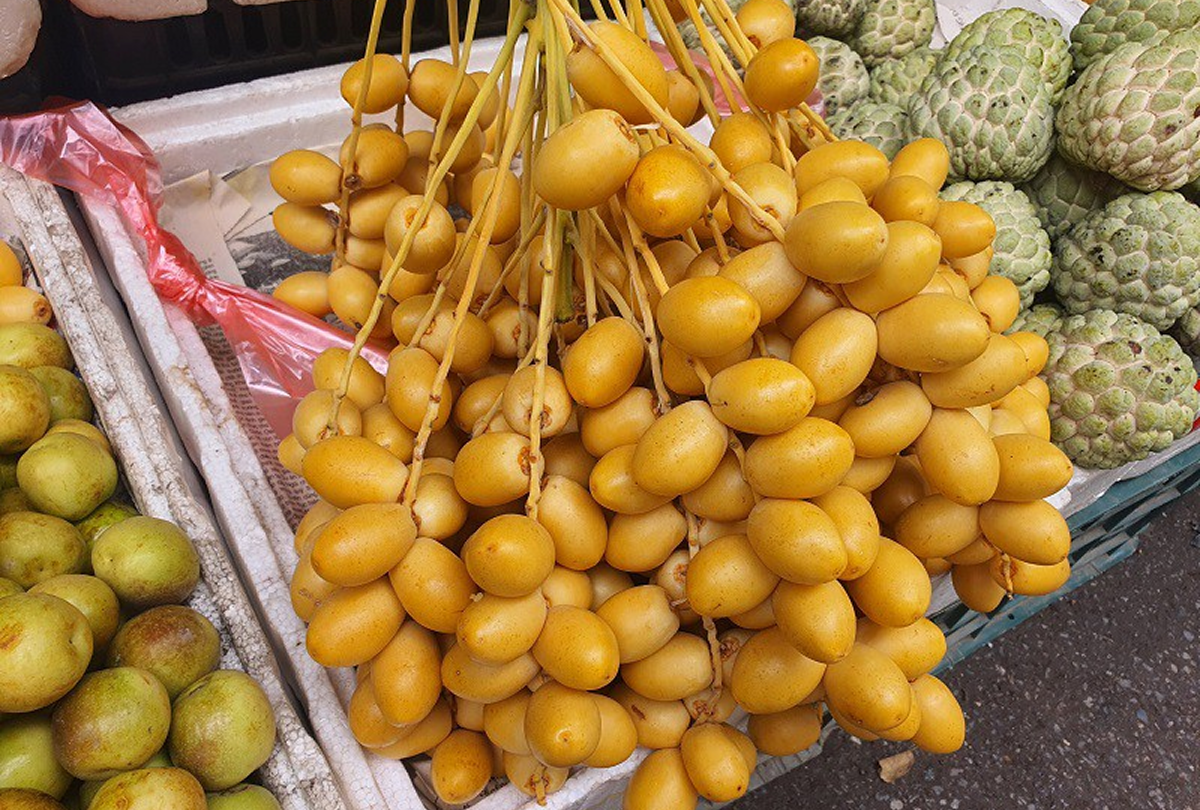  Chà là – Món quà đặc trưng của Trung Đông
