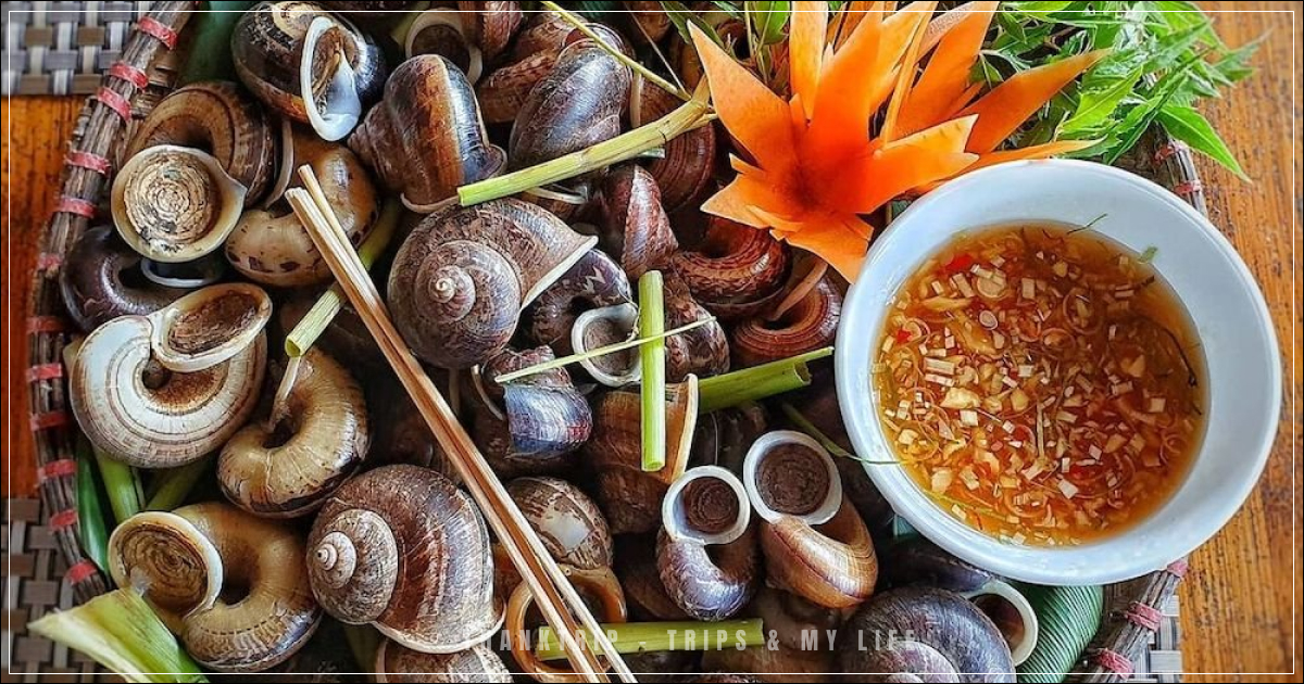 Món ốc núi Ninh Bình thơm ngon với hương vị đặc trưng của vùng đất Cố đô